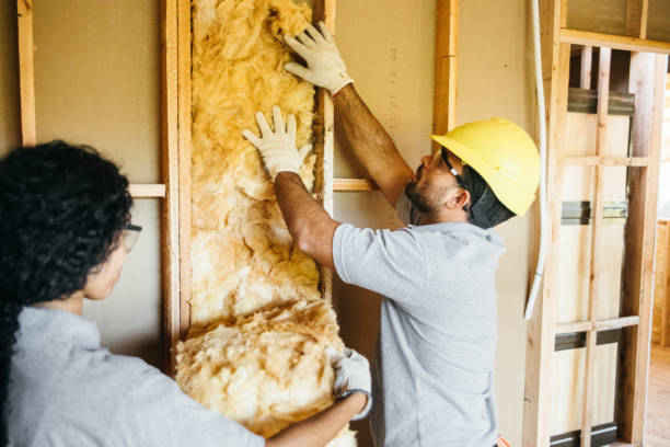 Best Attic Insulation Installation  in Bourg, LA