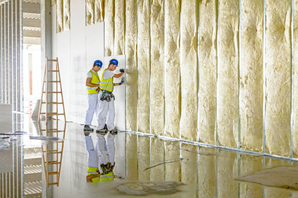 Best Spray Foam Insulation  in Bourg, LA