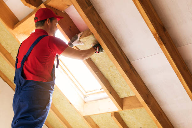 Best Attic Insulation Installation  in Bourg, LA